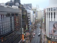 DSC00460.JPG